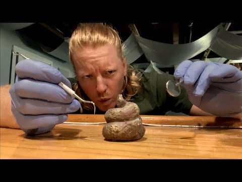 ASMR | Excavating A Dinosaur fossil￼