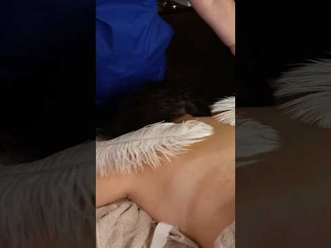 ASMR Back Cranial Nerve #asmr #bebravebeyouasmr #asmrrealperson