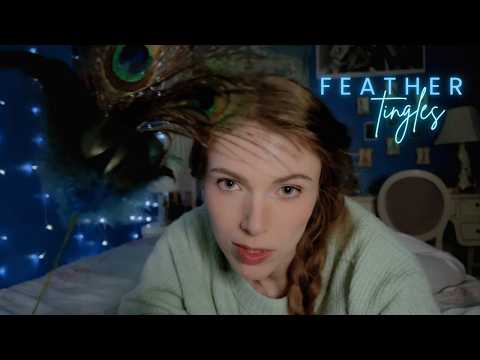 ASMR Feathery Face Tingles and Whispering You to Sleep | Personal Attention