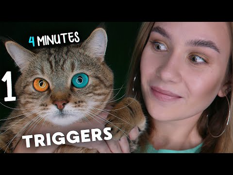 ASMR 100 TRIGGERS IN 4 MINUTES, АСМР 100 ТРИГГЕРОВ ЗА 4 МИНУТЫ, ОЧЕНЬ БЫСТРОЕ АСМР, SUPER FAST ASMR