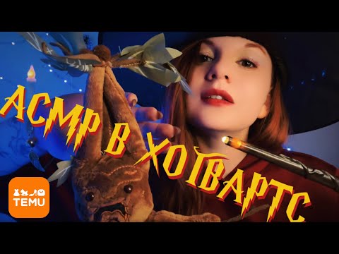 АСМР🎄Рождество В ХОГВАРТС 🎅 Подарки от ГАРРИ ПОТТЕРА! Волшебство с TEMU | Рейки на Новый Год 2025