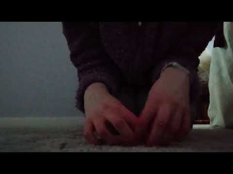 ASMR - Carpet Scratching & Camera Tapping 