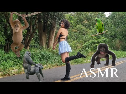 ASMR🌿 NO ZOOBOTÂNICO 🐒