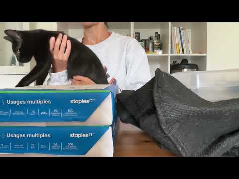 Staples Order unboxing Cat Chaos