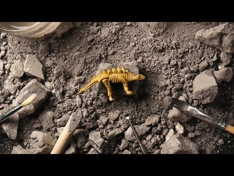 ASMR Dinosaur Fossil Excavation 공룡 화석 발굴하기 ⛏ 소리가 잡음 없이 진짜 선명하게 들린다...