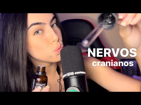 ASMR- exame dos nervos cranianos mas eu tô com pressa 🥵