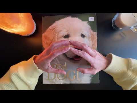Political Commentary ASMR  ~  Epstein Files, Election Control, ICE, Greenland / Caribbean Update