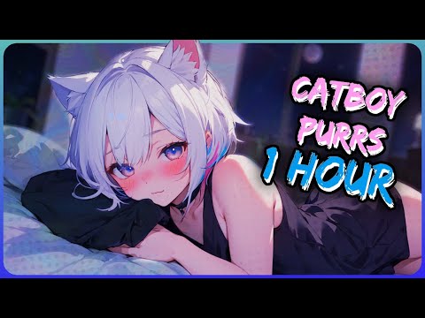 1 Hour of Catboy Purrs! [M4A] [ASMR] [Sleep Aid]