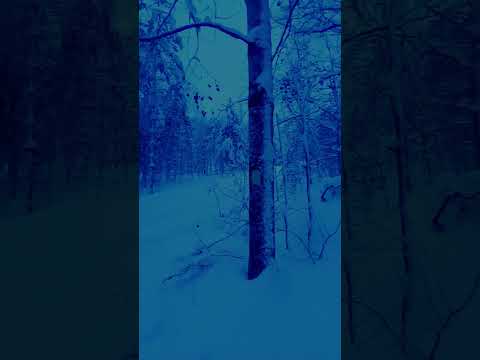 ASMR | Winter landscape  #asmr #softwhisper