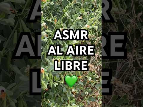 Sonidos de naturaleza ♥️ #asmr #asmrcommunity #asmrnaturesounds #nature #naturesounds