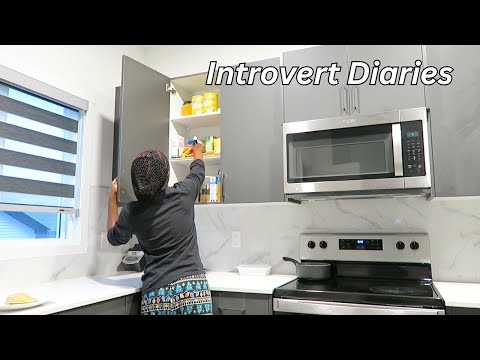 Introvert Diaries | Living Alone | Grocery Shopping and More..