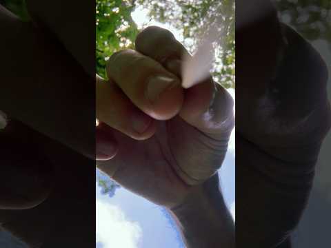Toothpick tracing #asmr #raeasmr #visualasmr #visualtriggers #upclose #toothpick #tracing