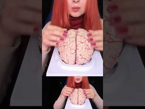 ASMR Most Tingly Brain Massage Ever (No Talking) #shorts