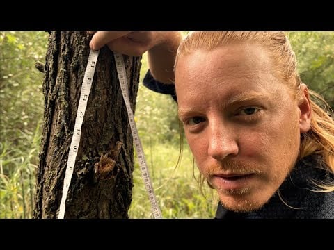 ASMR Tree Tailor 🌳 Super Cut