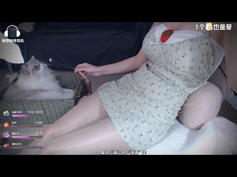 ASMR 1 Hour Of Relaxing Triggers & Cat Play | XiaMo夏茉