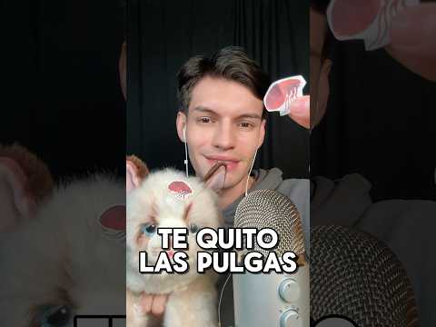 ERES MI GATO Y TE QUITO LAS PULGADAS #asmr #shorts #asmrvideo #comedia #humor