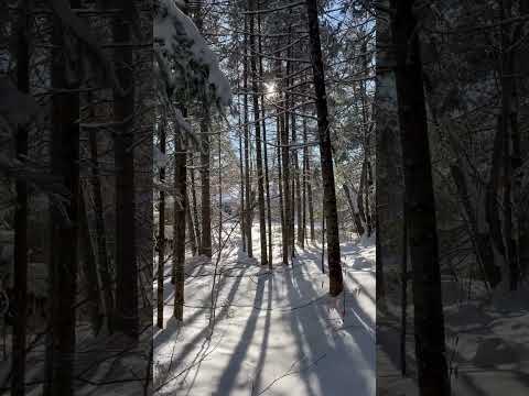 #ASMR #Feet #Boots #Walkinginsnow #Walking #snow