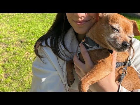 ASMR AL AIRE LIBRE en un parque 