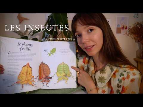 ASMR | À la découverte des insectes les plus fascinants 🪲