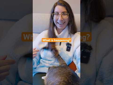 Is it normal for a cat to do this? #asmr #shorts