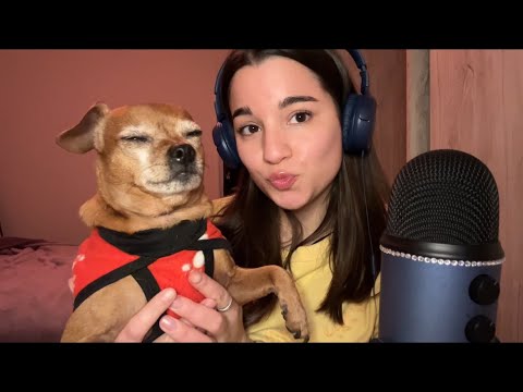 ASMR haciéndole mimos a mi perrito | describiéndolo detalladamente ahre 