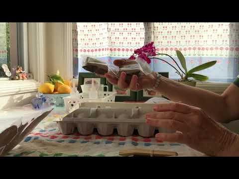 Ad-free ASMR; Crafting with tie-dye kit Part 2, soft spoken