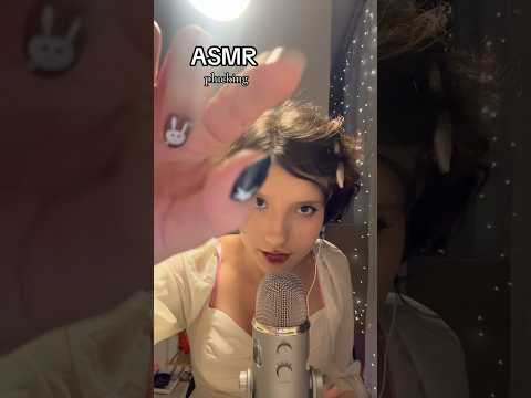 𑣲ASMR || plucking