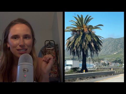 ASMR Whisper Ramble About Our Trip to California ☀️