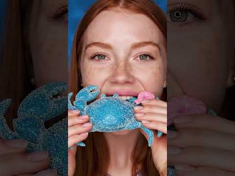 How many gummy shrimp can you count? 🦞🦐 | ASMR Taste Test