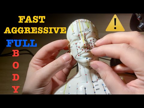 ASMR|⚠️FAST AGGRESSIVE SCRATCHING MASSAGE ON EACH SPECIFIC PART OF ACUPUNCTURE DOLL BODY! 💆🏻