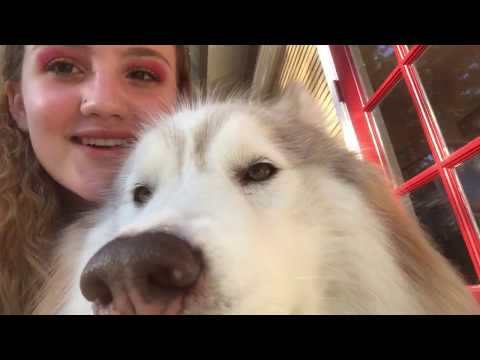 Corona Quarantine Vlog Day 39 and 40