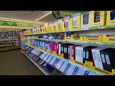 Dollar Tree Back-to-School Walk-Through 2024 (Soft Spoken)