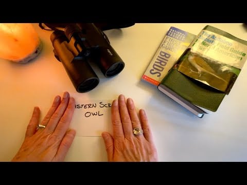 Building My Owl Box, Let's Discuss Eastern Screech Owls - ASMR Soft Spoken Normal Voice