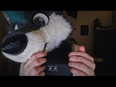 Pop Fidget and Wolf Slurps [FURRY ASMR]