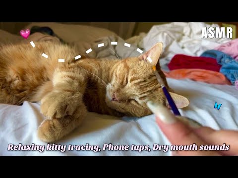 ASMR ♡ Lofi Camera & Hypnotizing Phone Case Tapping, Soft Kitty Tracing, More ♡ 
