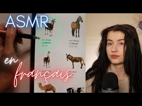 ASMR EN FRANÇAIS / learn FRENCH with me (les noms d'animaux) slow whispering and tracing for sleep 😴