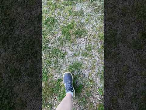 Gravel farm sounds (might be better to close your eyes, makes me dizzy)
