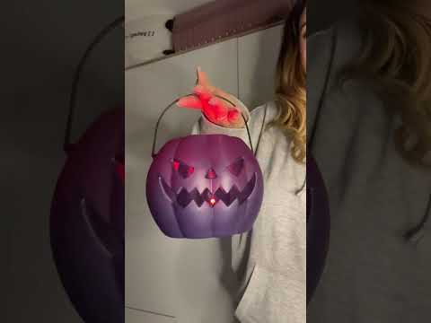 Gülüşü bi ömre bedel sösmsööd #asmr #makeup #triggersforsleep #keşfet #unboxing