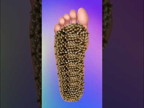 ASMR Relax to the MAX 😌☺️ Triggers So Tingly You'll Fall Asleep In No Time 🤗#foot #tingle #selfish