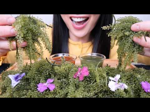SEAGRAPES (ASMR EATING SOUNDS) LIGHT WHISPERS | SAS-ASMR