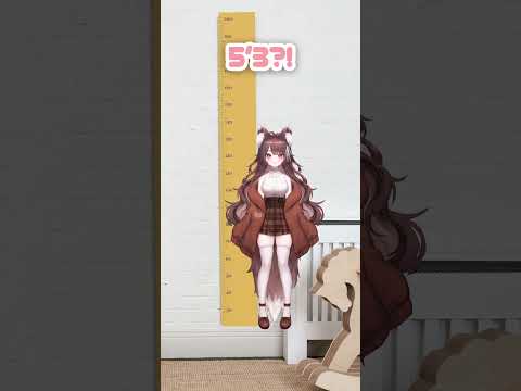 foxy measures height