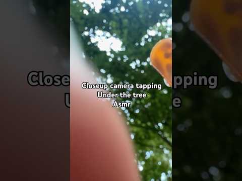Closeup camera tapping scratching under the tree asmr 🌳✨ #asmrtapping #asmrshorts