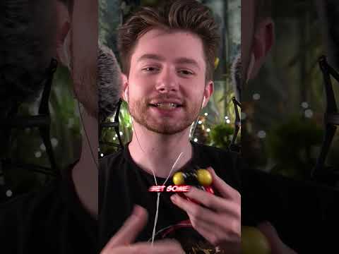 ASMR | Meet My Pet William