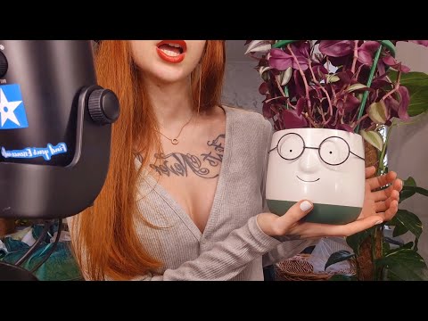 whisper ramble about a few of my plants asmr 🪴