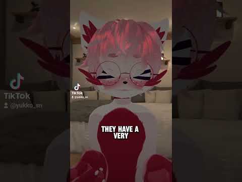 send this to your friend, they want something..