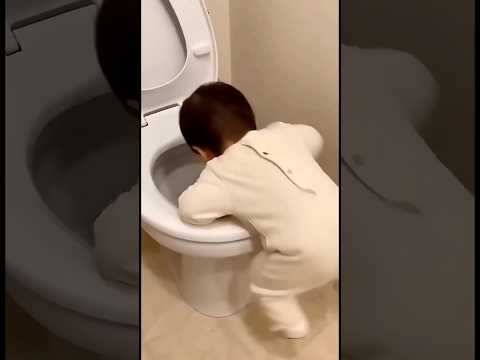 He thought the toilet was the sea. 🚽🌊