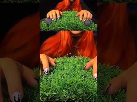 This Sound Is So Satisfying… 😍 | ASMRScratching (No Talking) #tingles #shorts #asmr
