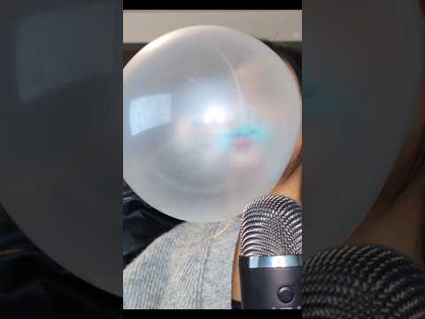 Blue Razz Berry Gumballs #asmr #shorts #shortfeed #shortvideo #shortsviral #bubblegum #chewinggum
