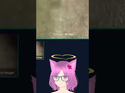 What bridge #vtuber #gaming