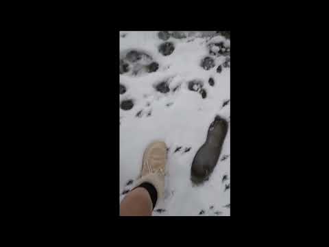 walking in the snow ASMR 🌨️ (tascam)